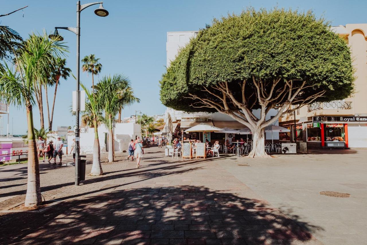 Bubu Beach 1-A Los Cristianos  Luaran gambar